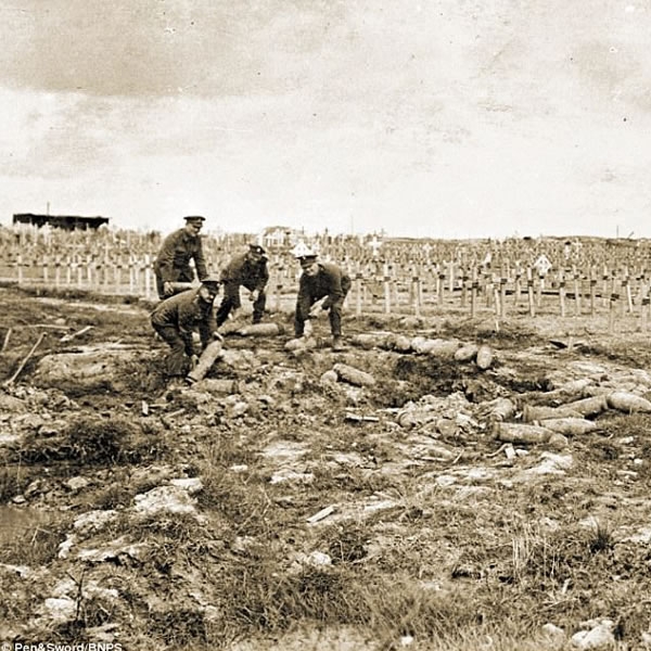 WWI Poetry - The Poetry is in the Pity