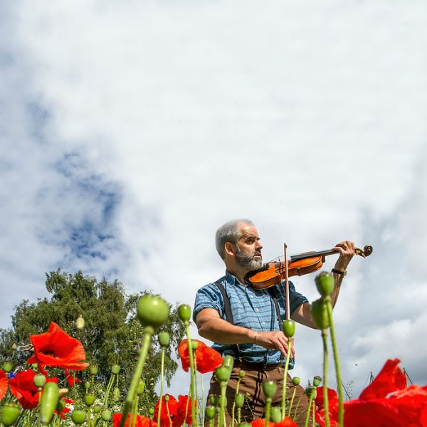 The Wilfred Owen Violin